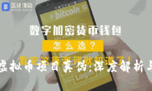 如何辨别虚拟币项目真伪：深度解析与实用指南
