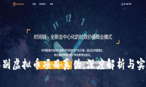 如何辨别虚拟币项目真伪：深度解析与实用指南