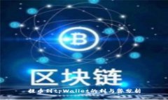 提币到tpWallet的利与弊分析