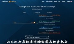 山东近期虚拟币市场分析