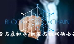 薛蛮子与虚拟币：机遇与