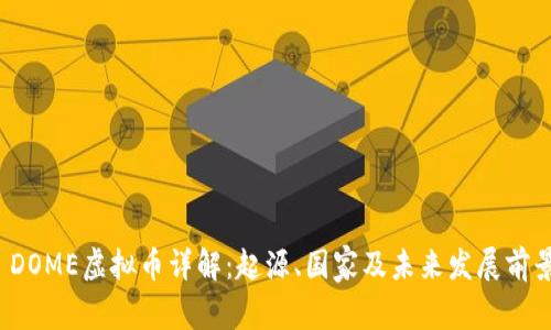  DOME虚拟币详解：起源、国家及未来发展前景