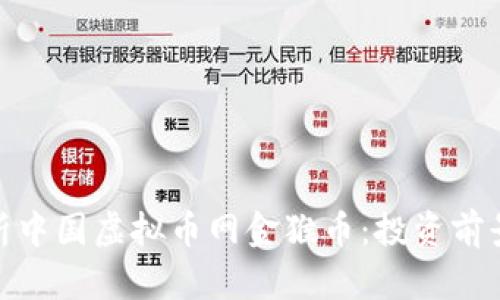 全面解析中国虚拟币网金猴币：投资前景与风险