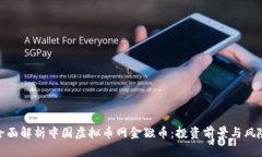 全面解析中国虚拟币网金