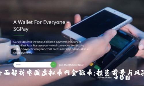 全面解析中国虚拟币网金猴币：投资前景与风险