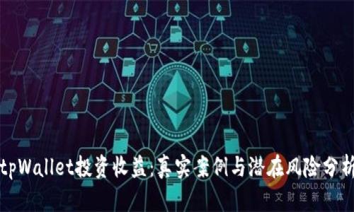 tpWallet投资收益：真实案例与潜在风险分析