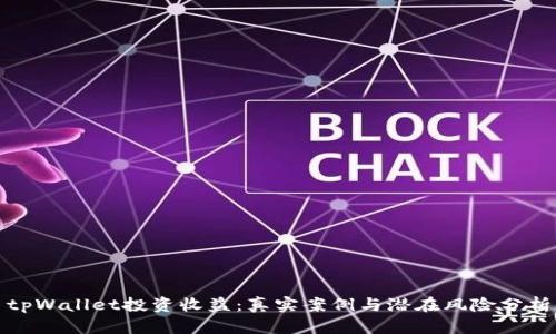 tpWallet投资收益：真实案例与潜在风险分析