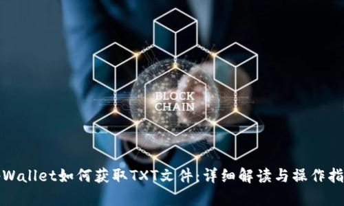 tpWallet如何获取TXT文件：详细解读与操作指南