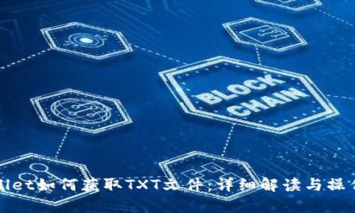 tpWallet如何获取TXT文件：详细解读与操作指南