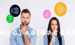 tpWallet密码忘记怎么办？解决方案与操作步骤详解
