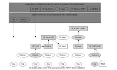 如何将Feg币提现到TP Wallet：详细步骤与注意事项