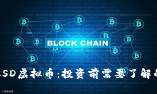 全面解析CSD虚拟币：投资前需要了解的关键要素
