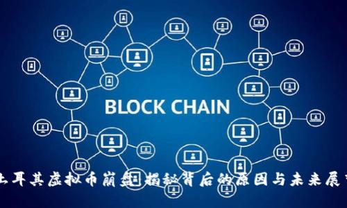 土耳其虚拟币崩盘：揭秘背后的原因与未来展望