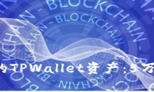 如何有效管理和你的TPWallet资产：5万元/回报最大化指南