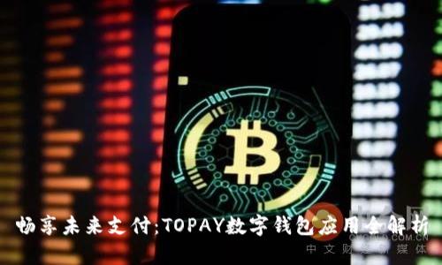 畅享未来支付：TOPAY数字钱包应用全解析