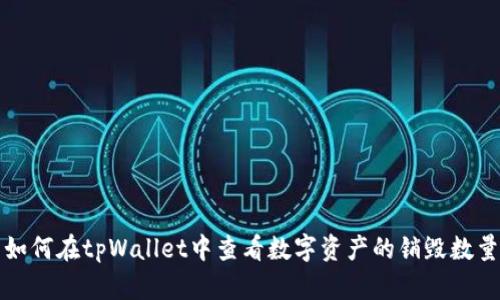 如何在tpWallet中查看数字资产的销毁数量