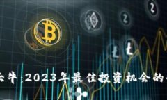虚拟币大牛：2023年最佳投