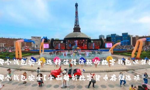 虚拟币放哪个钱包安全：选择值得信赖的数字钱包以保障你的资产

虚拟币放哪个钱包安全？全面解析数字货币存储选项