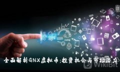 全面解析GNX虚拟币：投资