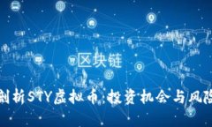深度剖析STY虚拟币：投资