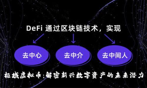 极域虚拟币：解密新兴数字资产的未来潜力