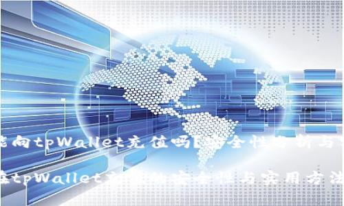 人民币能向tpWallet充值吗？安全性分析与实用指南

人民币在tpWallet充值的安全性与实用方法