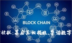 特大虚拟币挖矿被抓：幕