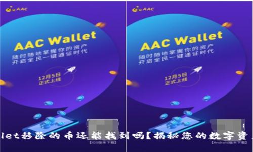 tpWallet移除的币还能找到吗？揭秘您的数字资产去向