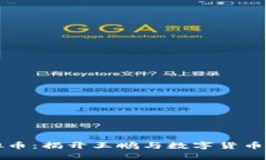 区块链虚拟币：揭开王鹏