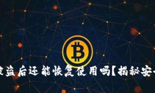 tpWallet币被盗后还能恢复使用吗？揭秘安全与应对策略