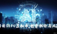 深入解析SEFU虚拟币：投资