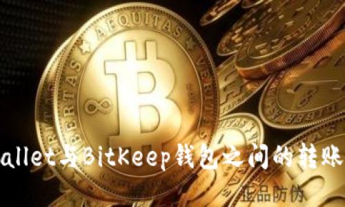 tpWallet与BitKeep钱包之间的转账指南