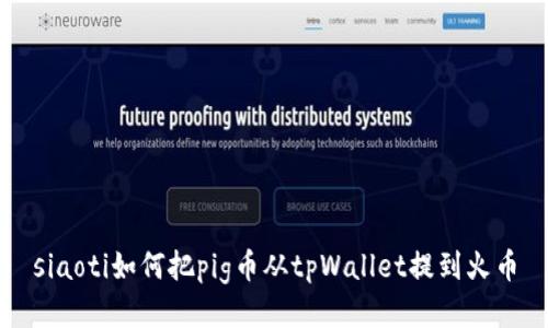 siaoti如何把pig币从tpWallet提到火币