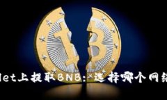 在TPWallet上提取BNB: 选择哪