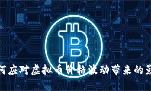 如何应对虚拟币价格波动带来的影响